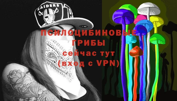 героин Богданович